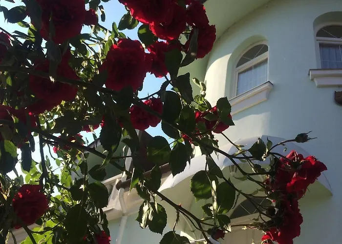 Affittacamere Valeria 3*